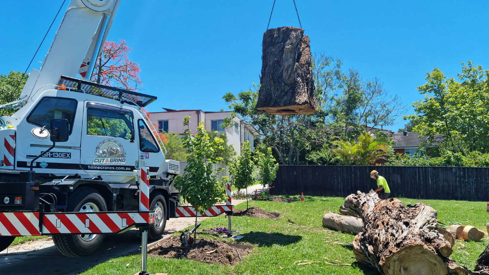 complete tree removal service Adelaide Hills