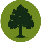 Tree Services
