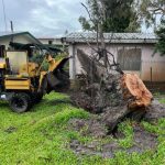 Stump Removal Adelaide Hills