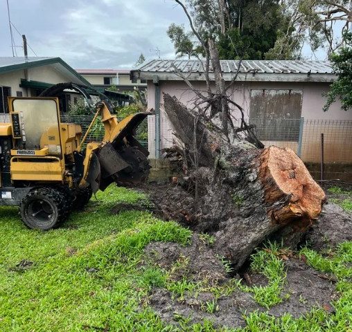 Stump Removal Adelaide Hills