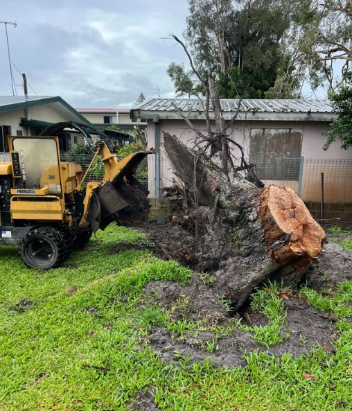 Stump Removal Adelaide Hills