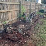Tree and Stump Removal Adelaide Hills